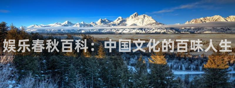 泰达娱乐平台登录入口