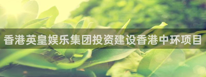 壹号平台app下载安装