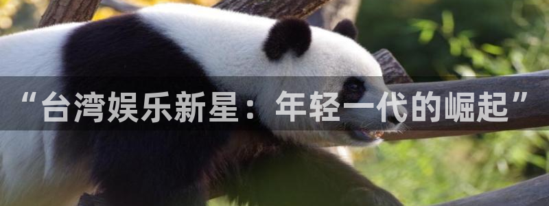 泰达娱乐注册网站