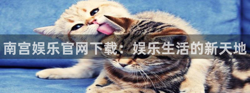 泰达娱乐下载链接