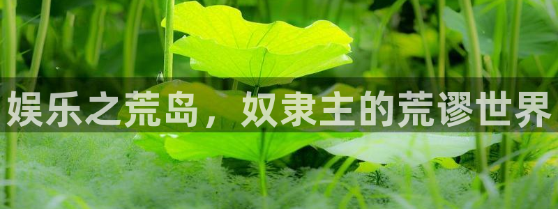 壹号app下载官网娱乐