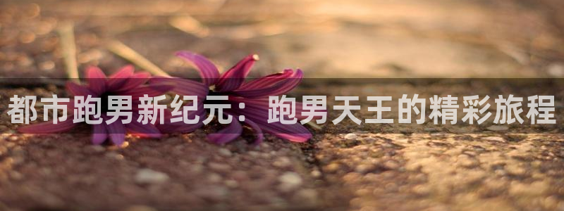 壹号大舞台怎么下载