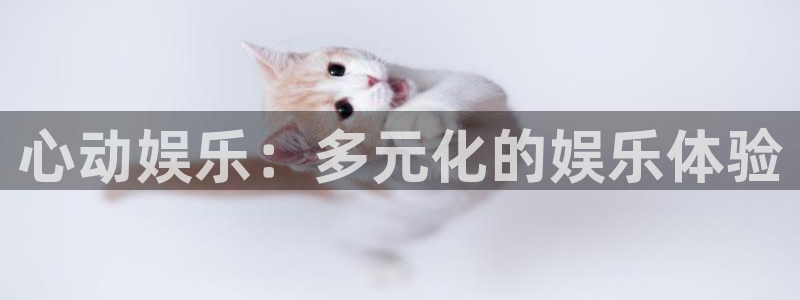 壹号大舞台,有梦你就来