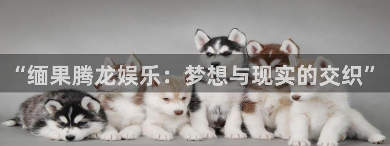 泰达娱乐注册入口与教程