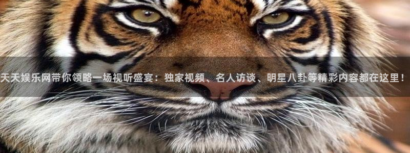 壹号电子娱乐app