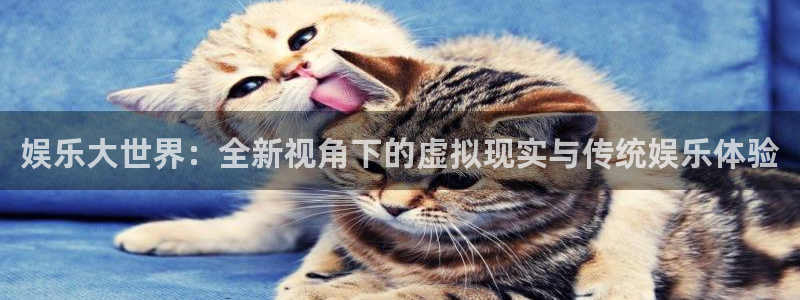 泰达娱乐app下载地址