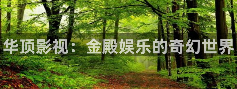 泰达娱乐app网页入口