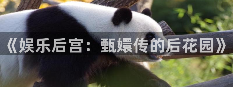泰达娱乐网页版