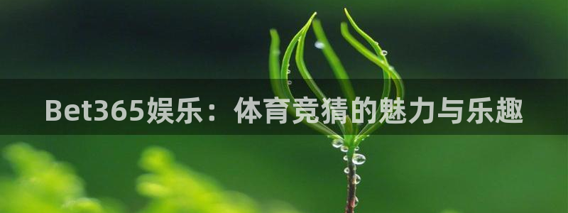 泰达娱乐下载：Bet365娱乐：体育竞猜的魅力与乐趣