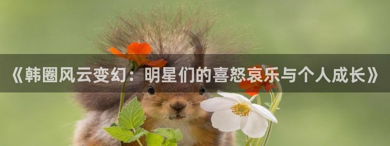壹号app下载官方网站：《韩圈风云变幻：明星们的喜怒哀乐与个人成长》