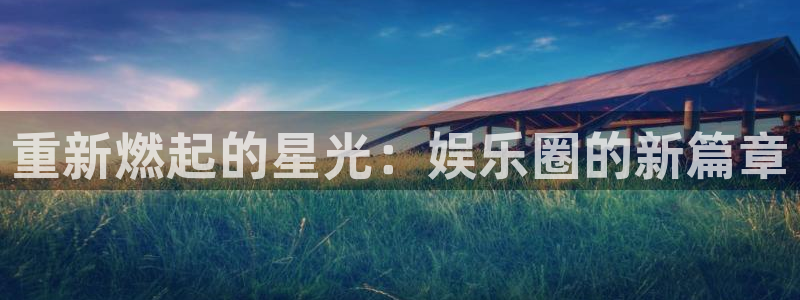 泰达娱乐注册链接入口：重新燃起的星光：娱乐圈的新篇章