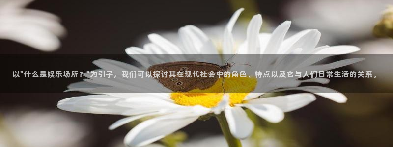 泰达娱乐：以\