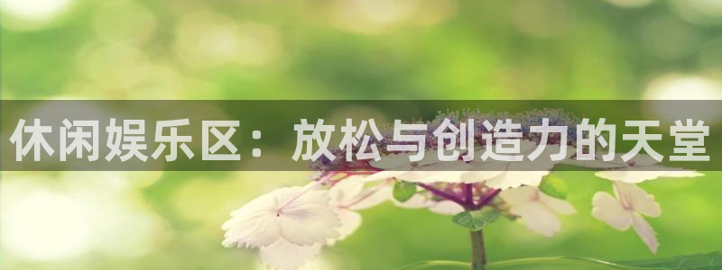 壹号大舞台有梦你就来：休闲娱乐区：放松与创造力的天堂