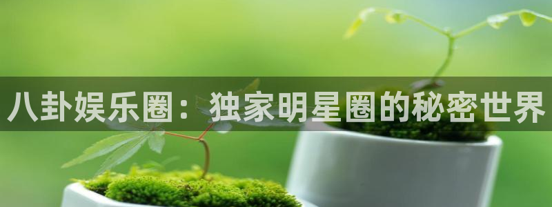 泰达娱乐app注册地址：八卦娱乐圈：独家明星圈的秘密世界