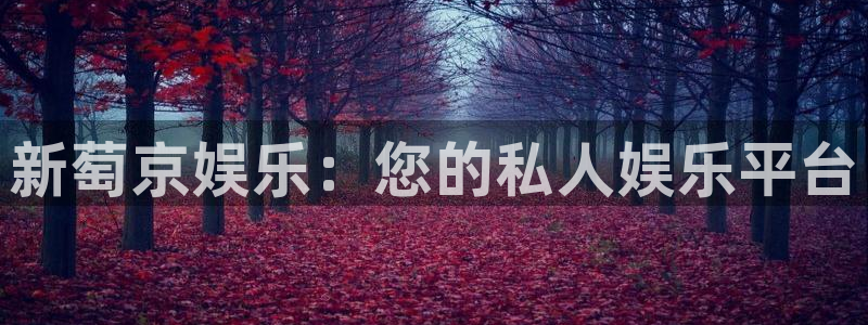 泰达娱乐哪个游戏好爆：新萄京娱乐：您的私人娱乐平台