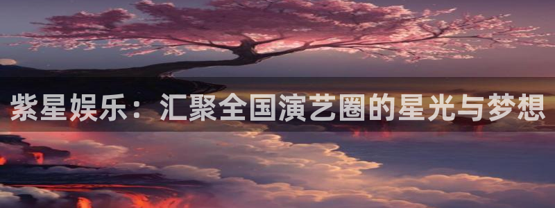 壹号大舞台：紫星娱乐：汇聚全国演艺圈的星光与梦想