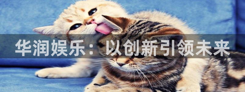 泰达娱乐电玩网官网入口：华润娱乐：以创新引领未来