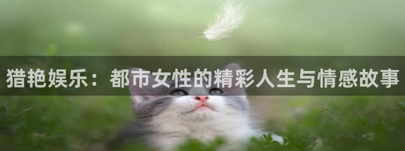 泰达娱乐平台app下载：猎艳娱乐：都市女性的精彩人生与情感故事