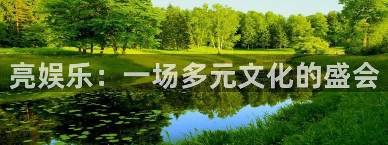 壹号注册入口app下载：亮娱乐：一场多元文化的盛会