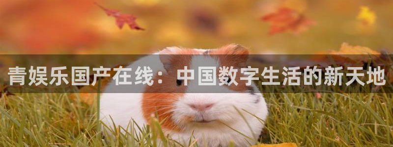 泰达娱乐网页版登：青娱乐国产在线：中国数字生活的新天地