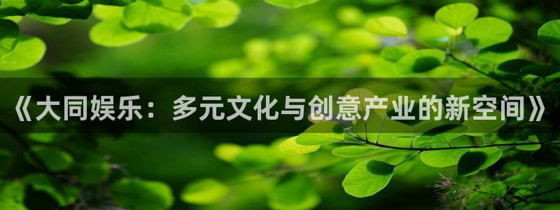 泰达娱乐苹果手机下载链接：《大同娱乐：多元文化与创意产业的新空间》