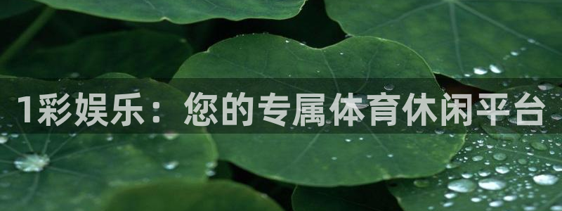 壹号官方app下载安装：1彩娱乐：您的专属体育休闲平台